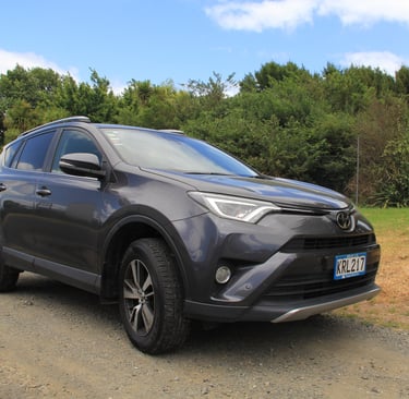 rental car tauranga