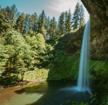 Salem, OR - South Falls area is home to the 7 Dwarfs at Silver Falls State Park
