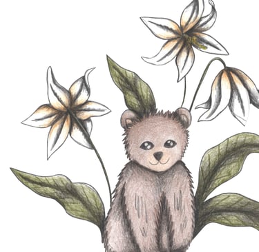 Hand-drawn illustration of a bear surrounded by white flowers