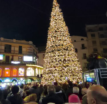 Luci d'Artista Salerno Piazza Portanova albero di Natale