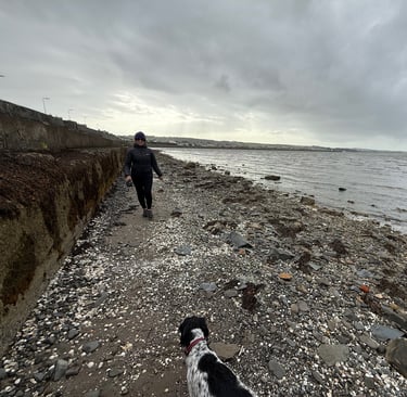 the beach just outside stranraer, Scotland