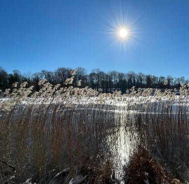 Werde still und du wirst sehen