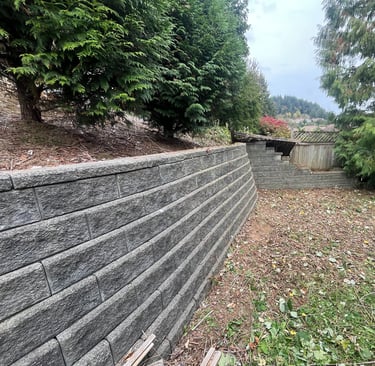 blackberry bushes removed from a retaining wall.