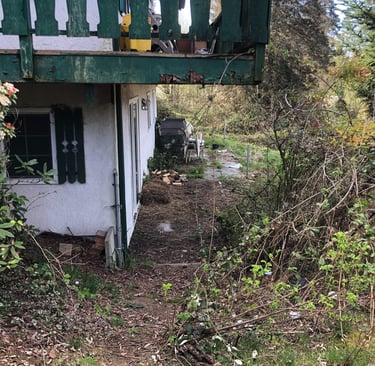 Blackberry removal before pic