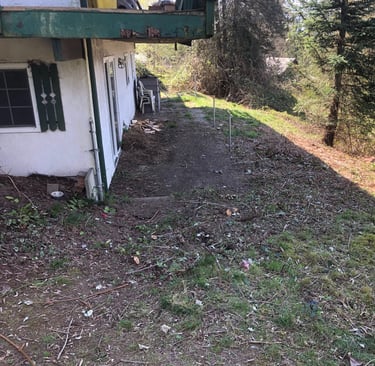 no more blackberry bushes