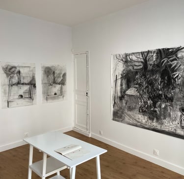 Galerie Maxime Allain Marine Bikard Partition du dehors