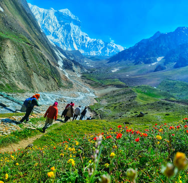 Vyas valley, Adi kailash