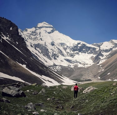 the view of adi kailash