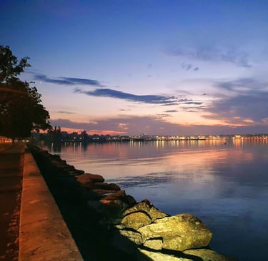 a view of a city skyline at night leman