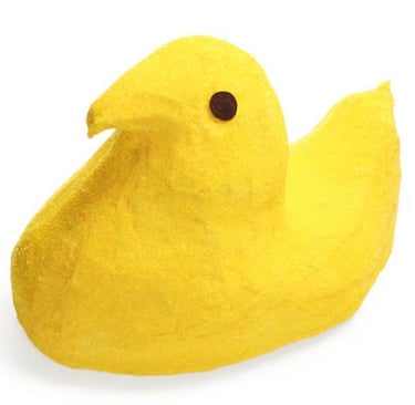 a yellow duckling with a yellow duckling on it