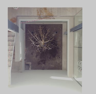 Una puerta con un árbol en el medio de la habitación.