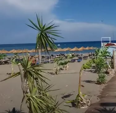 faliraki sandy beach with some palm trees and sunbeds