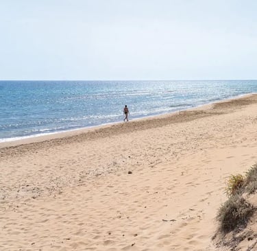 Halikounas Beach Korfu Villa Olivia Pentati