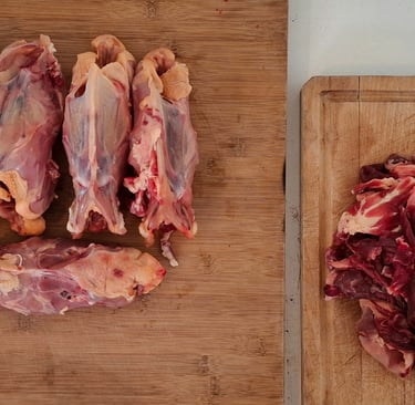 alimentation barf chien berger blanc suisse