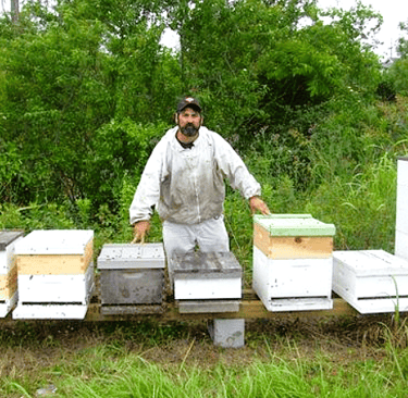 JP at one of his apiaries