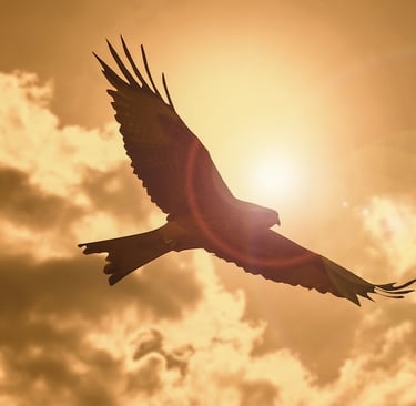 FERS Military options for pension