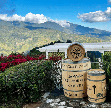 blue mountain coffee