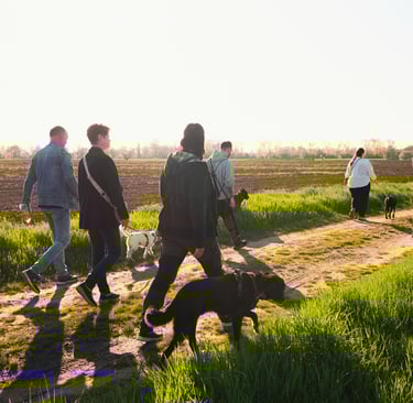 Hundetrainer Basti Matern begleitet Mensch-Hund-Teams beim entspannten Social Walk in Merseburg.