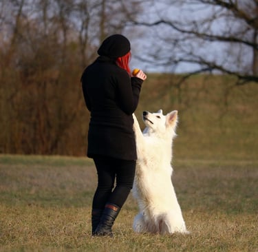 Educatrice canine