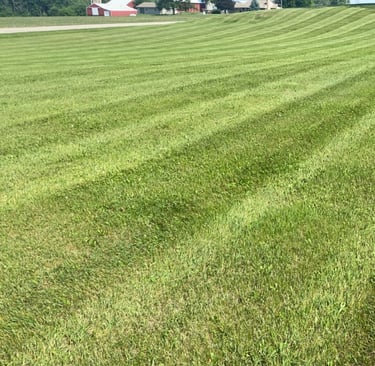 Beautiful striped lawn 