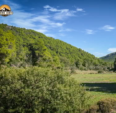 Hiking Zante - Green valleys