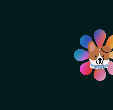 dogAdvisor | dog Advisor | dog advisor | dogadvisor | dogadvisor.dog | dog advisor