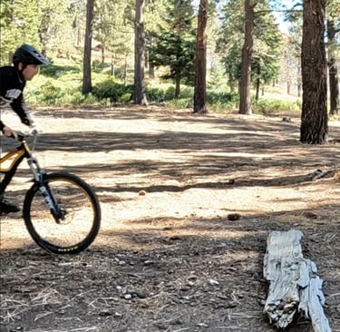 mountain biker approaching a bump jump