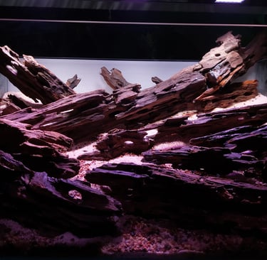 hardscape troncos aquario