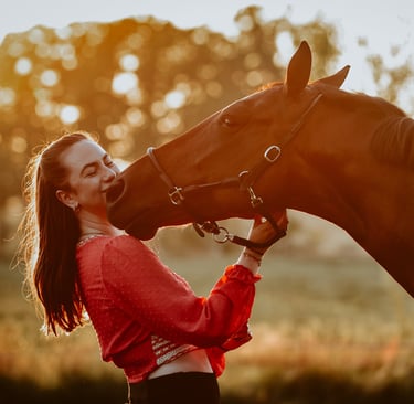 Een dame met een paard met zonsondergang