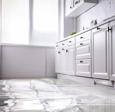 a kitchen with a refrigerator and a refrigerator freezer