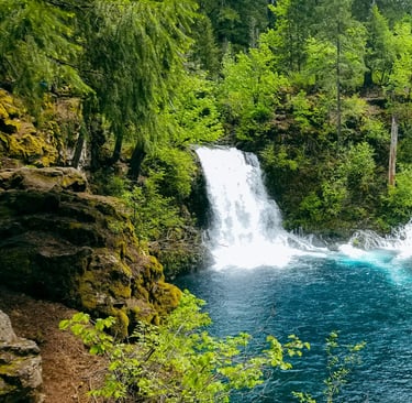 Eugene, OR - Tamolitch Falls has a dazzling blue pool