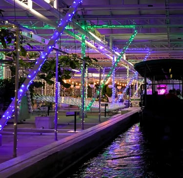 Living with the Land: Merry & Bright (EPCOT)