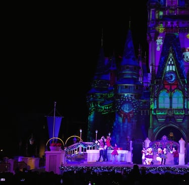 The Frozen Holiday Surprise (Magic Kingdom) - stage view