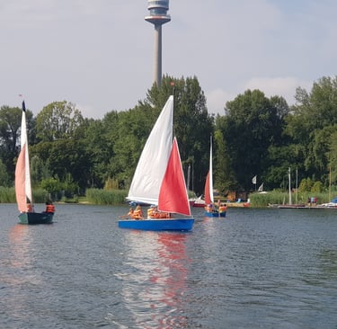 Boot auf der Donau