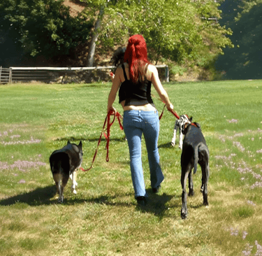 Dog rescuer and animal advocate Lacey Sculls exercising a group of dogs