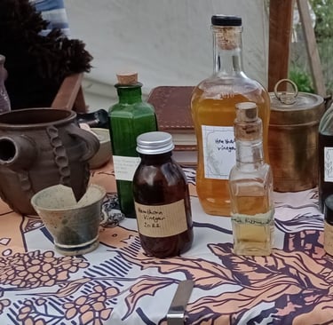 a table with ceramic jugs and bottles of herbal tinctures and medicines