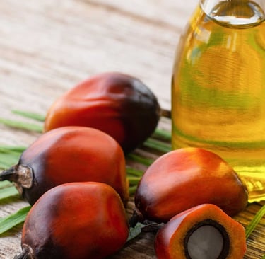 Fotografia de un conjunto frutos de palma secos y una jarra de aceite