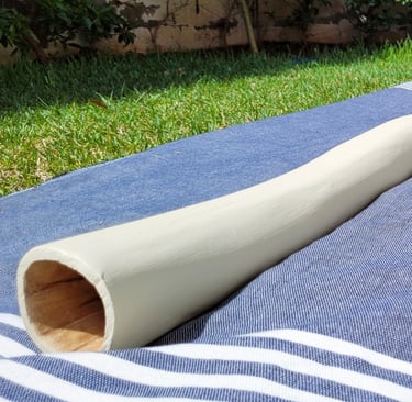 what is didgeridoo