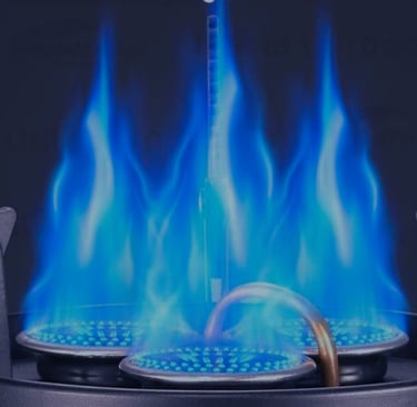 ראשים של גז