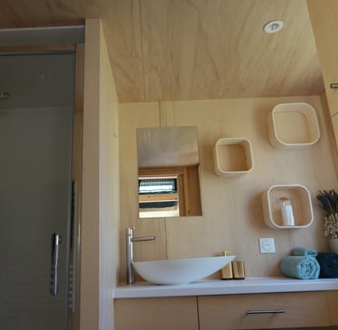 Tiny House bathroom