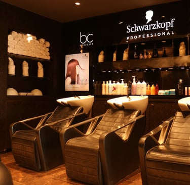 ali's salon pune