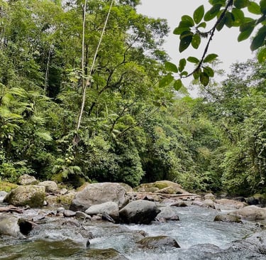 La Fortuna Wasserfall Urwald Costa Rica Annerschtwo