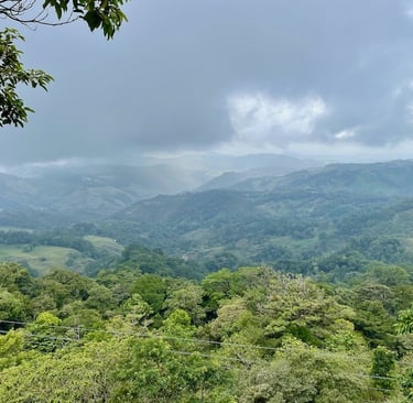 Monteverde Costa Rica Ziplining