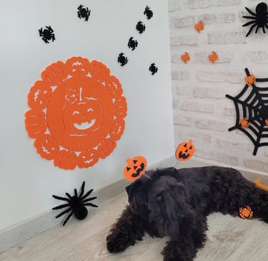 Tara vom Spakenberg , Schnauzer nain