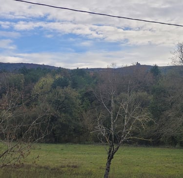 La Capelette vue devant le Monastère d'En calcat à l'entrée de Dourgné