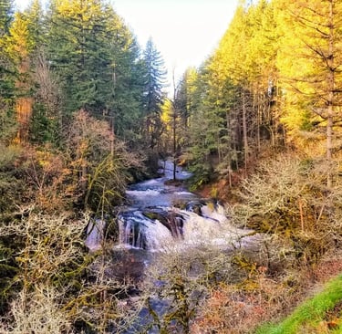 Yacolt, WA - Looking down at Pothole Falls cascading over the rock formations