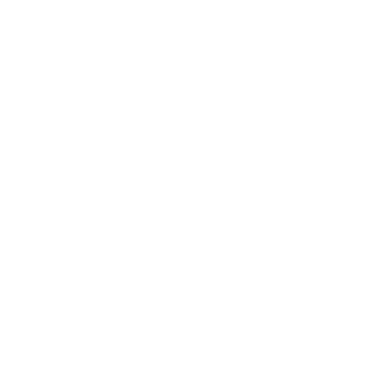 Aerialogists Logo - Design by Jerry Gibbons