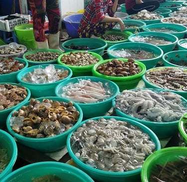 seafood supplier