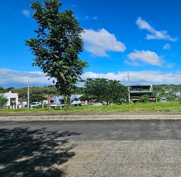 Residential Lot for Sale at Colinas Verdes