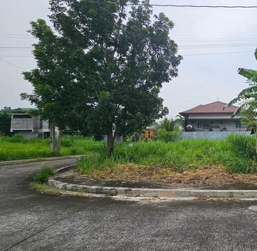 Residential Lot for Sale at Colinas Verdes